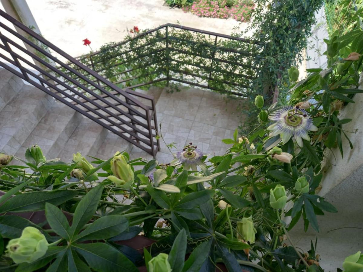 Flamingo Hotel Anaklia Bagian luar foto